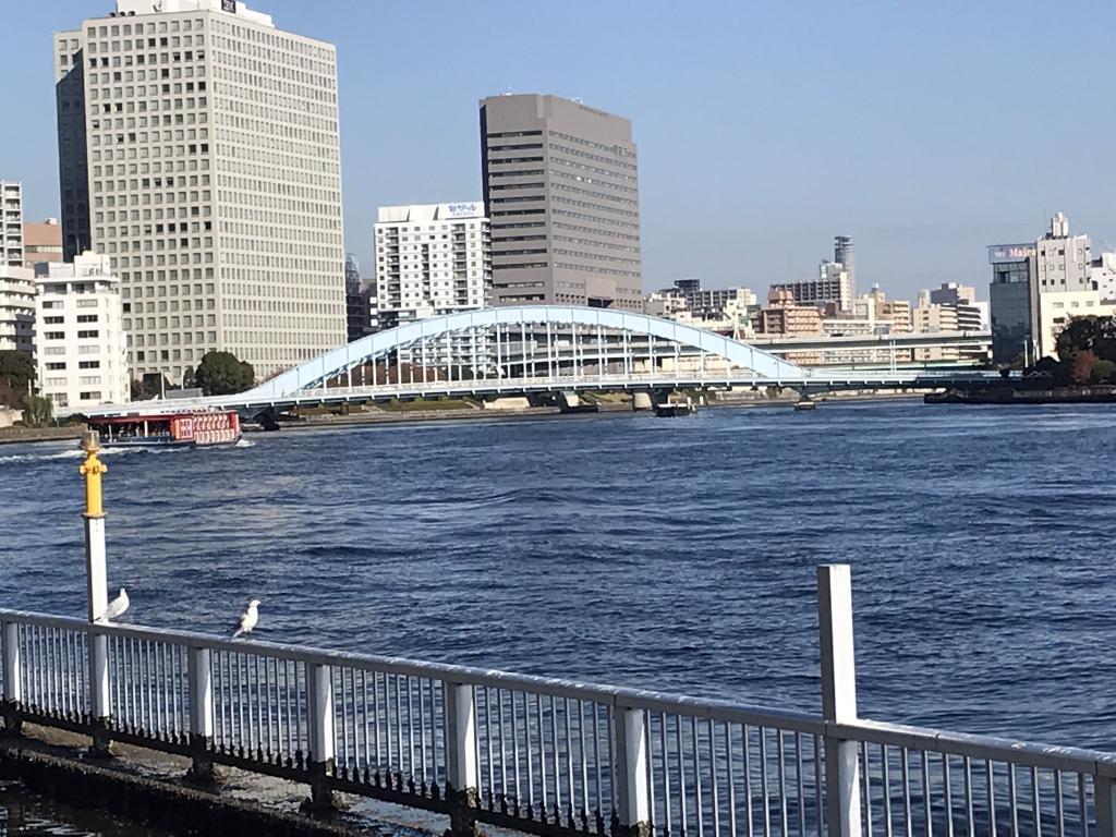  隅田川の12 橋が現在ライトアップ