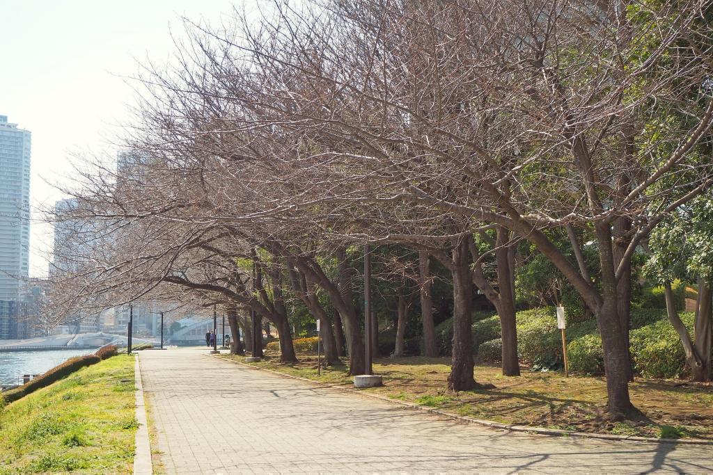  築地駅から隅田川へ 〜春待ち散歩