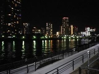 1612_湊公園夜1.JPG