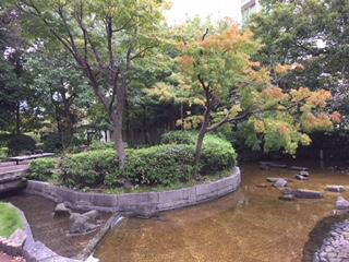 桜川屋上公園の紅葉.jpeg
