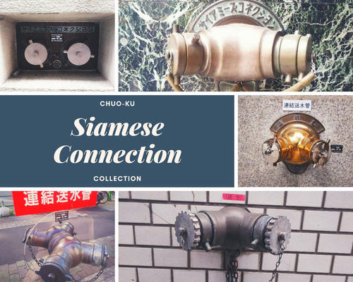 Siamese Connection.jpg