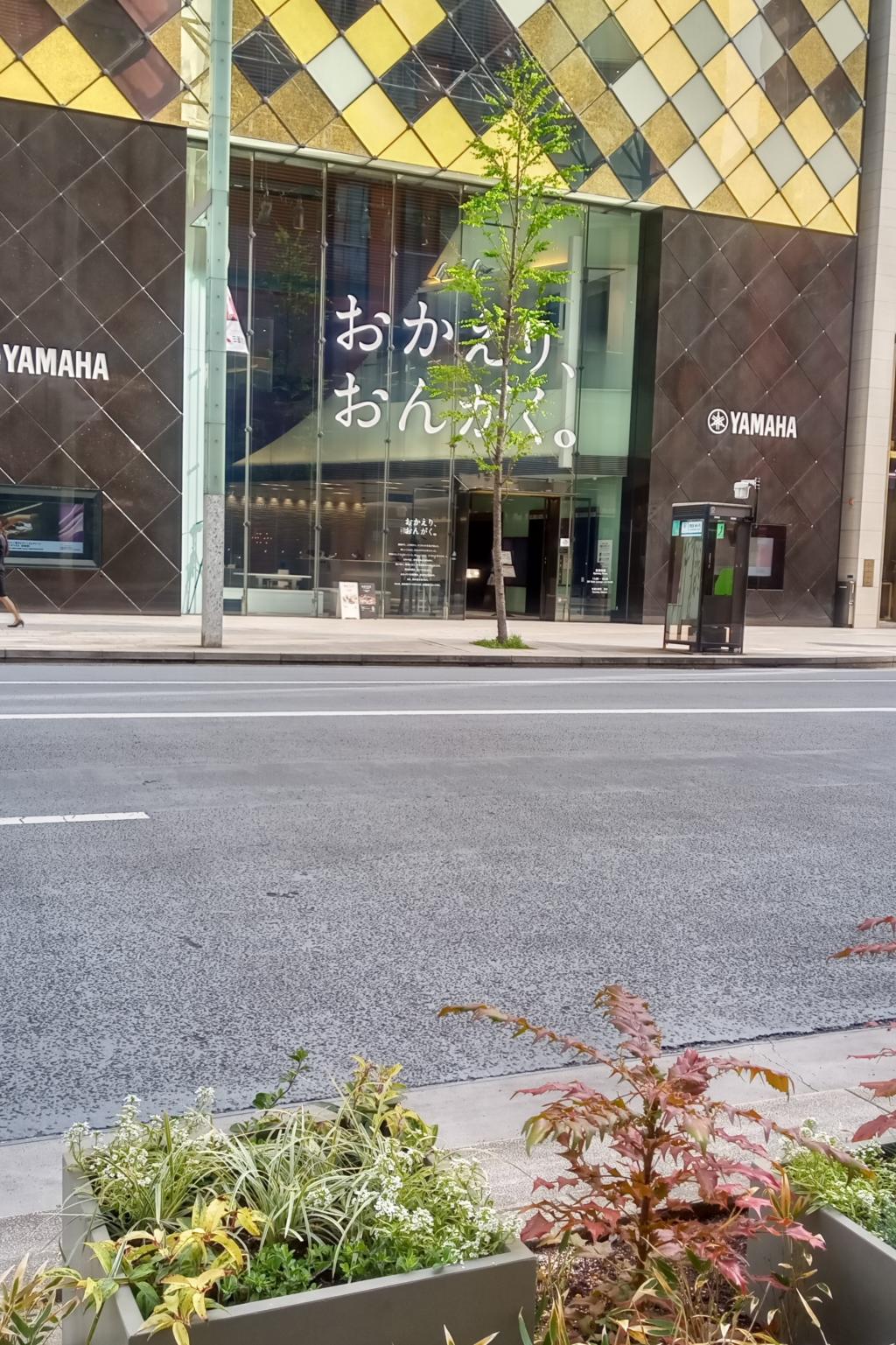 銀座通り 歩道に観葉植物が おかえり おんがく By 銀造 中央区観光協会特派員ブログ