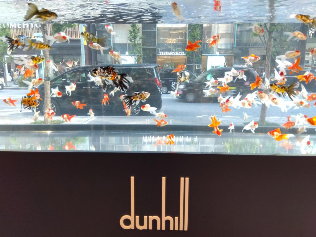「dunhill  夏祭り -Summer Aquarium-」　8/4 ～8/20に開催