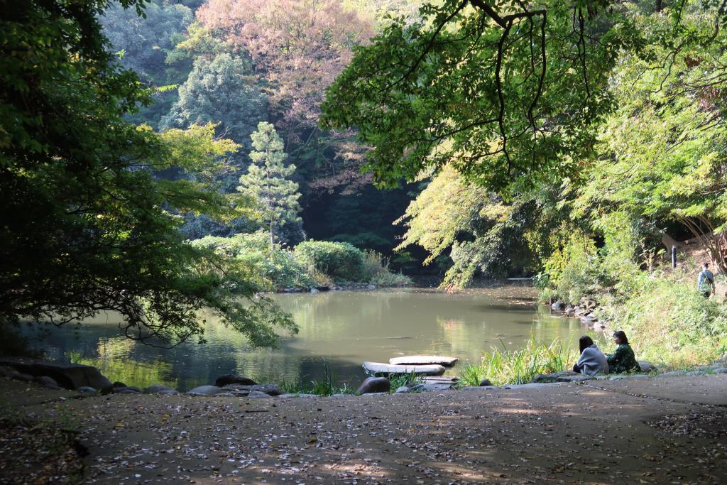 #文学散歩
夏目漱石で有名な「三四郎池」に行ってきました