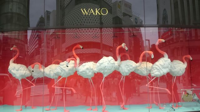 和光どの 爽やかな夏 フラミンゴ Flamingo By 銀造 中央区観光協会特派員ブログ