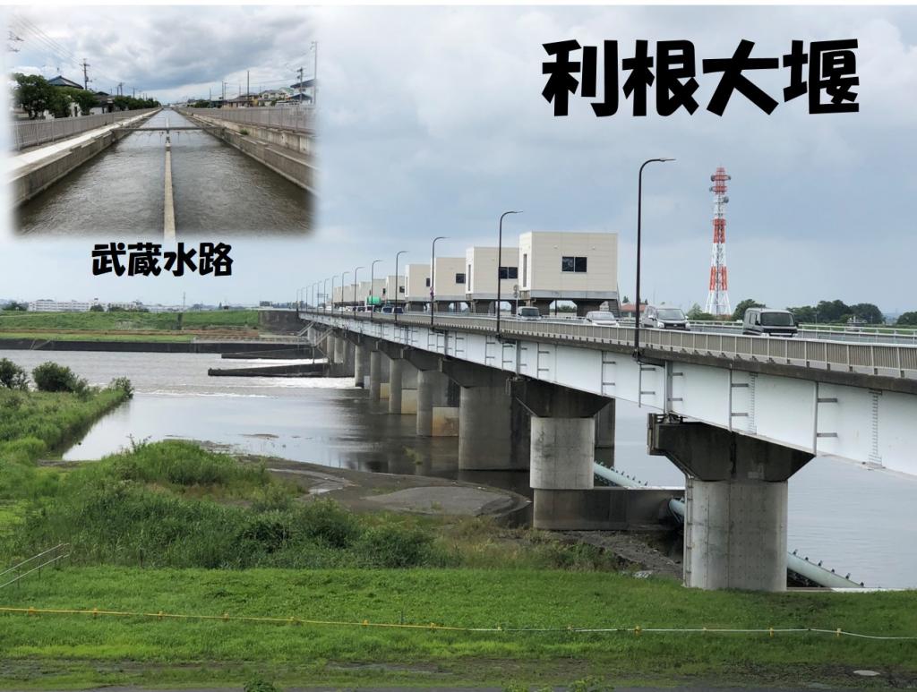 体内のコレステロールはどうなるのでしょうか？