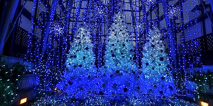 クリスマスイルミネーションガーデン 2019 By サム 中央区観光協会特派員ブログ