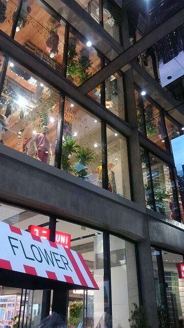 １階のお花売り場　GINZA的銀座案内 UNIQLO 、ユニクロ　マロニエゲート銀座店 オープン