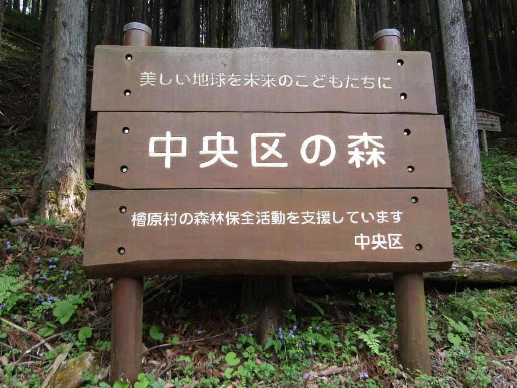  【遠足シリーズ第14弾】森だけじゃなかった！檜原村で見つけた「中央区」