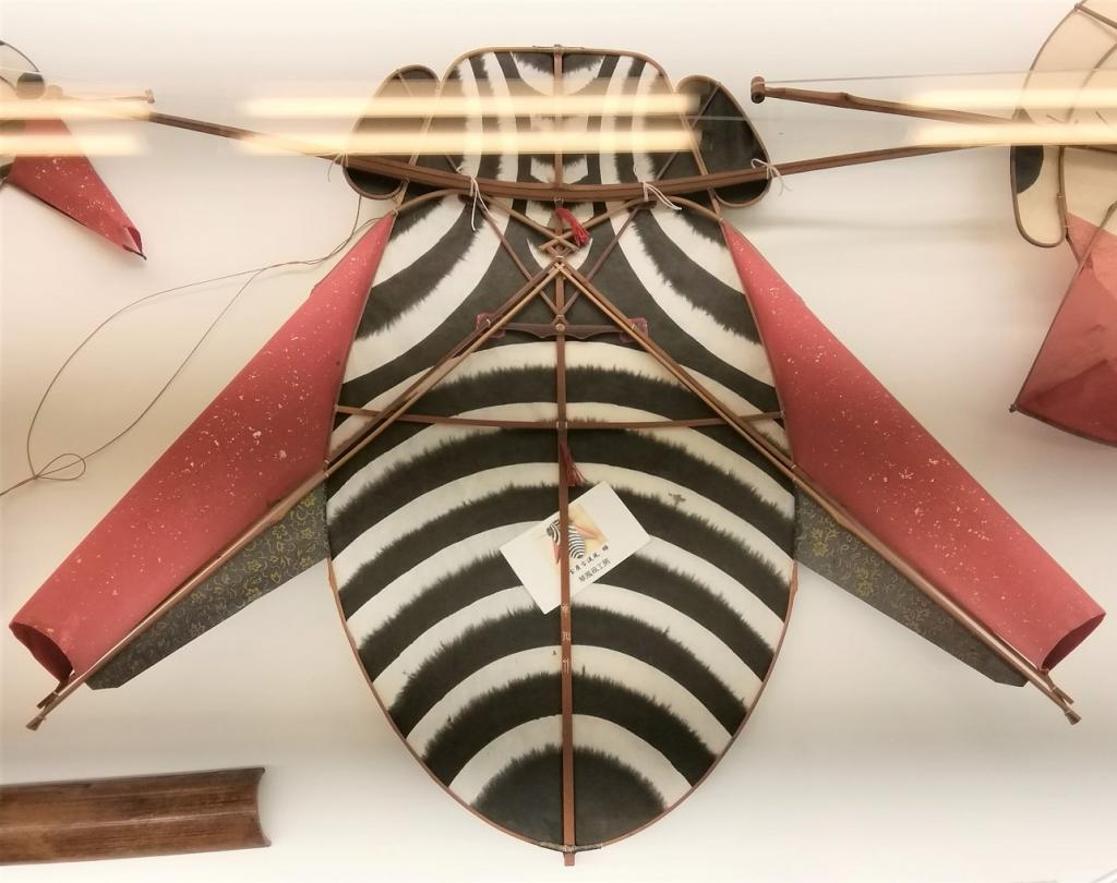 名古屋古流凧　「蝉（せみ）」 再開発のため、移転しました
改めましてご紹介します
　～　凧の博物館　～