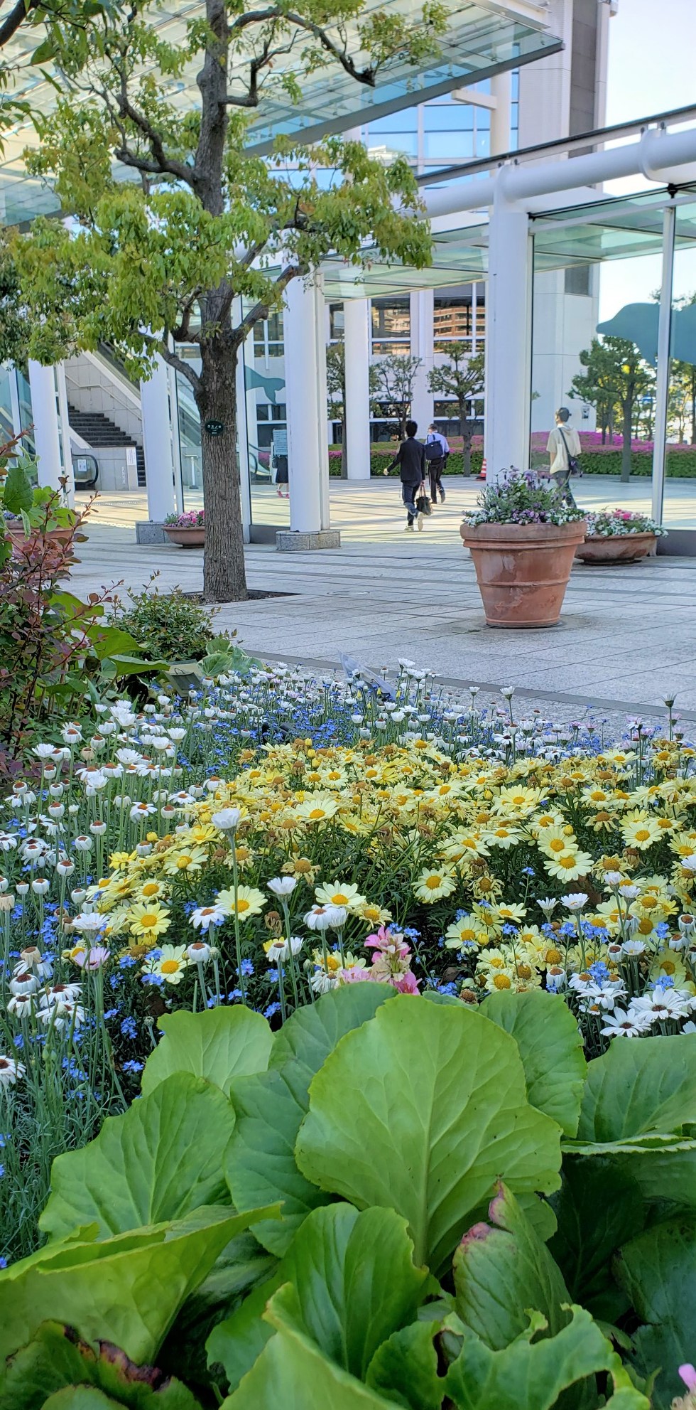  [花と緑そして水]
晴海トリトンスクエアの庭園　散策がおすすめです。