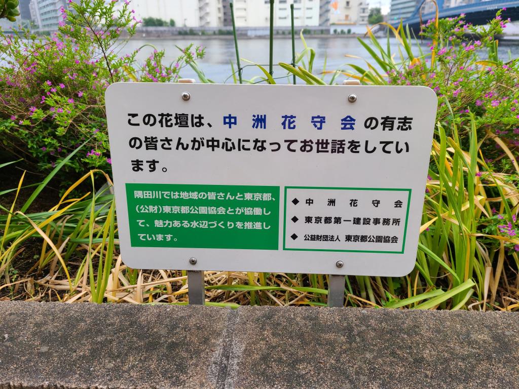  隅田川の水辺を彩る花壇。その分布をご存じですか？
