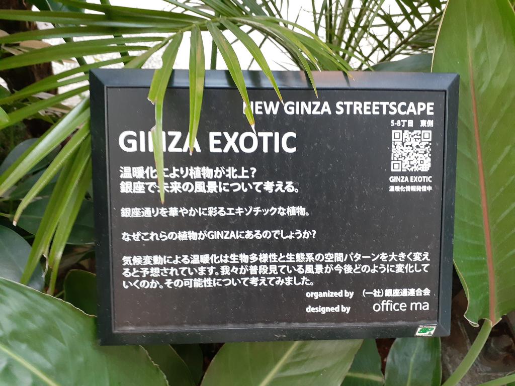  NEW GINZA STREETSCAPE～銀座の街角で考える日本の伝統と温暖化～