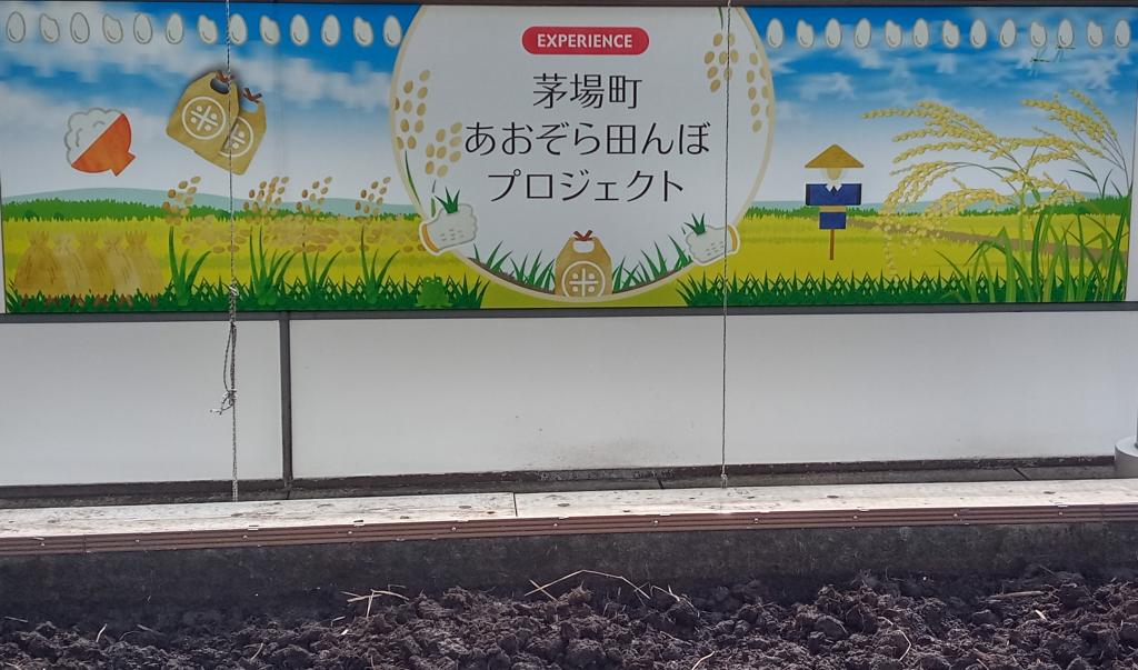 地元小学生児童への食育　屋上で田植え、収穫の体験　　

 プレナス　東京本社　米文化継承事業活動
