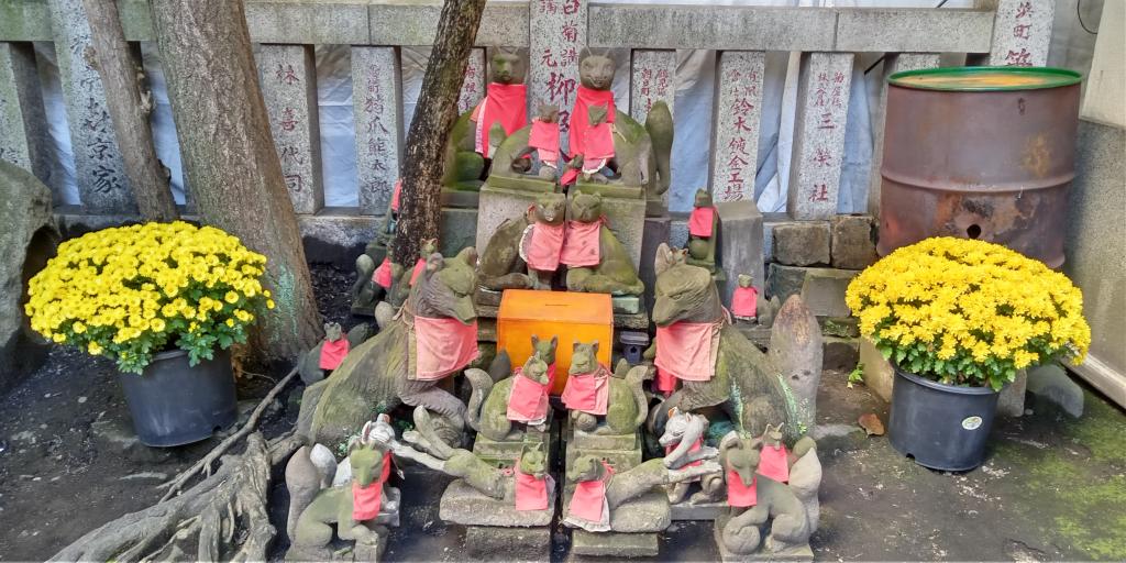 お狐様にもお飾り 日本橋笠間稲荷神社の菊飾り