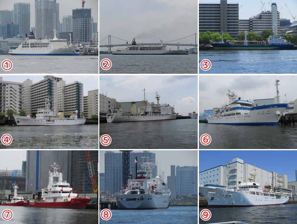 船・船・船・・・ 自転車可！楽しい東京湾ライナー