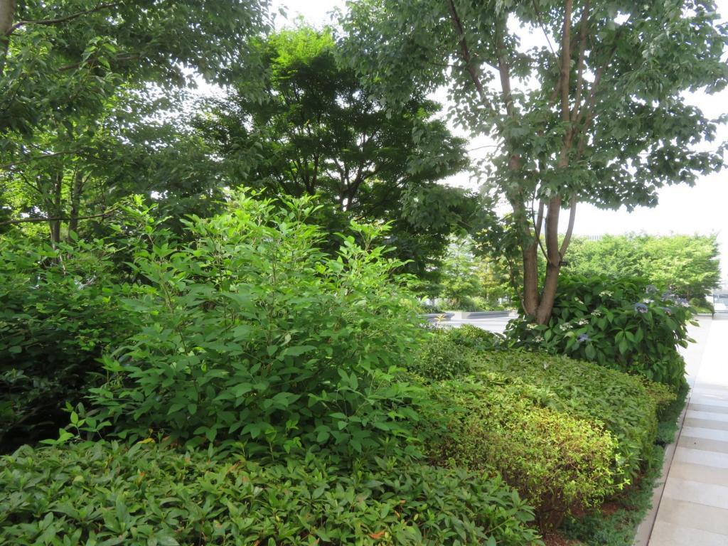 「GINZA　SIX」　屋上庭園
　 猛暑です…中央区の屋上庭園めぐり
