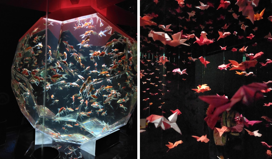  和テイストのイルミネーションが幻想的
アートアクアリウム美術館 GINZA