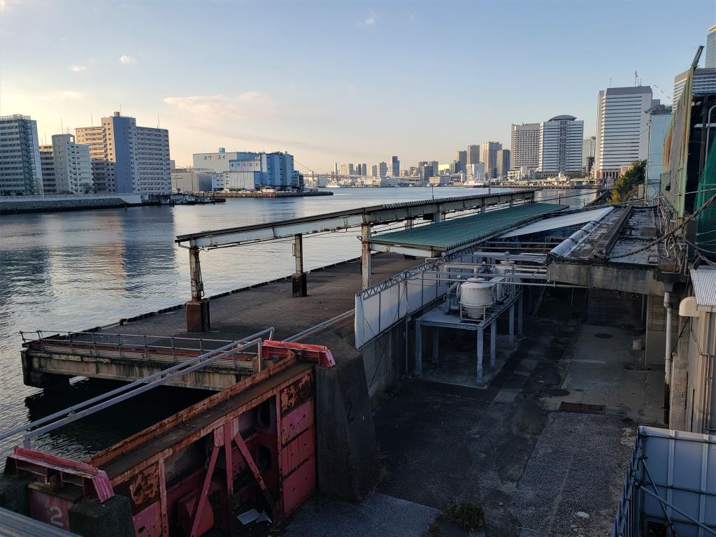  築地大橋から見た隅田川下流