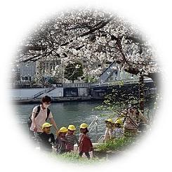  2023 束の間の晴れ間 桜の彩り 