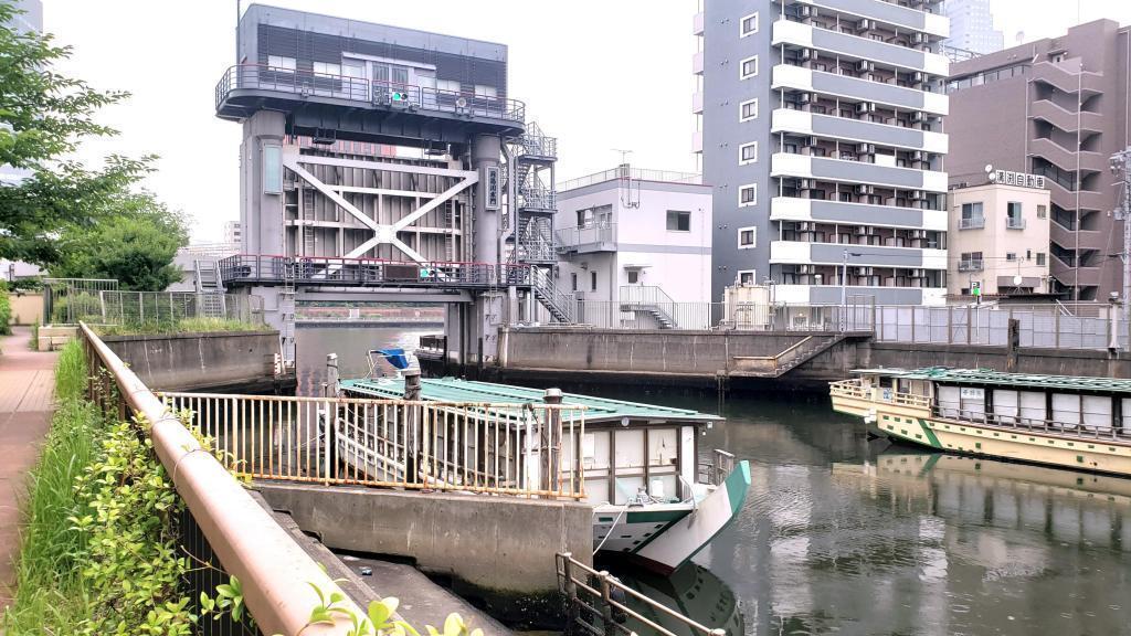  隅田川テラス(左岸)勝鬨橋から佃大橋