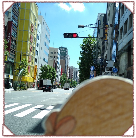  みなとっこ日記 夏の江戸バスの旅♪北循環