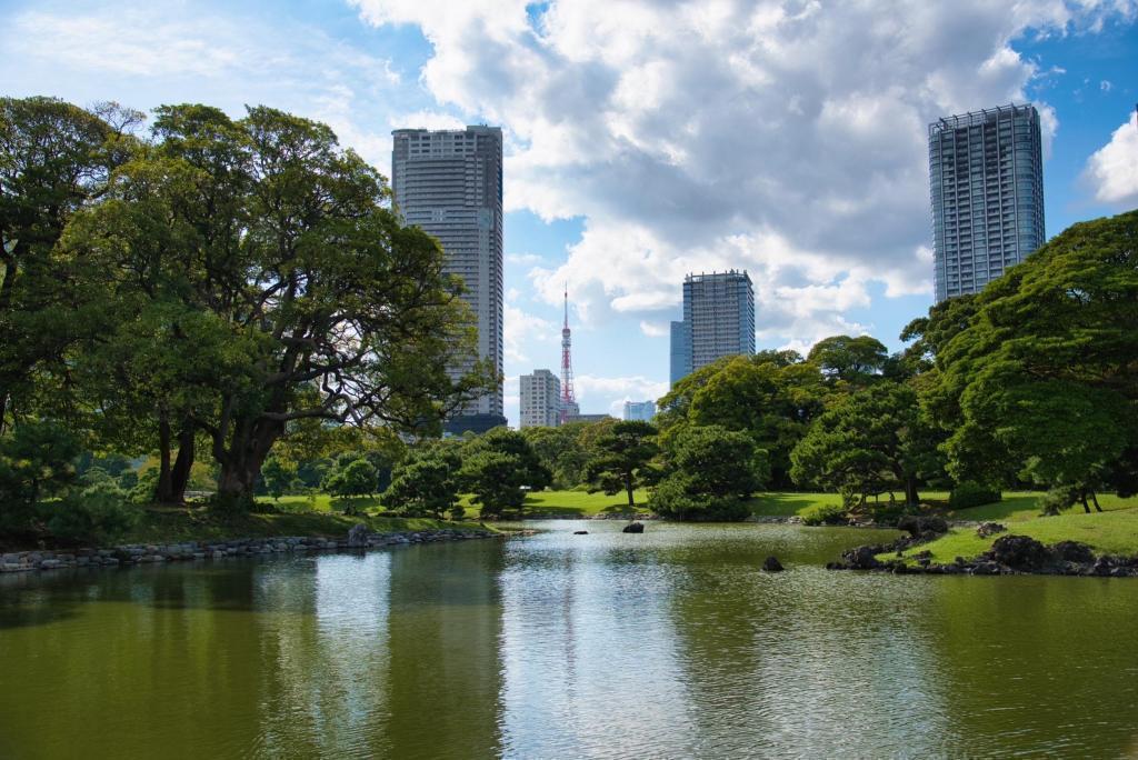 庭園の向こうに見える東京タワー 〜浜離宮恩賜庭園〜キバナコスモスが見頃です