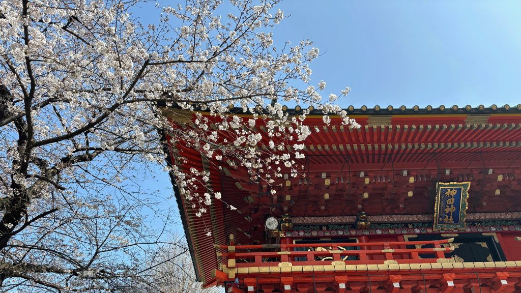 現在は桜が見頃！！ こんなところにも日本橋！　神田明神編