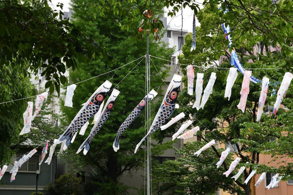  KOINOBORI swim in the sky of May