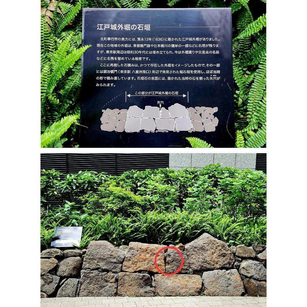  江戸の城と町を築いた伊豆石
～伊豆石のふるさとを訪ねました～