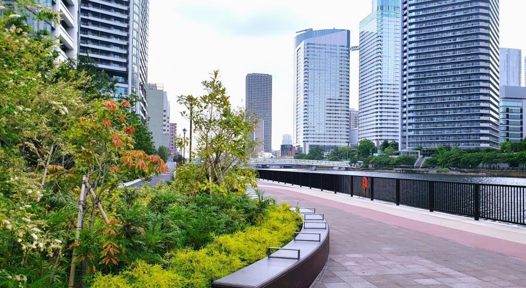  朝潮運河親水公園で運河に沿ってのんびり歩きましょう。