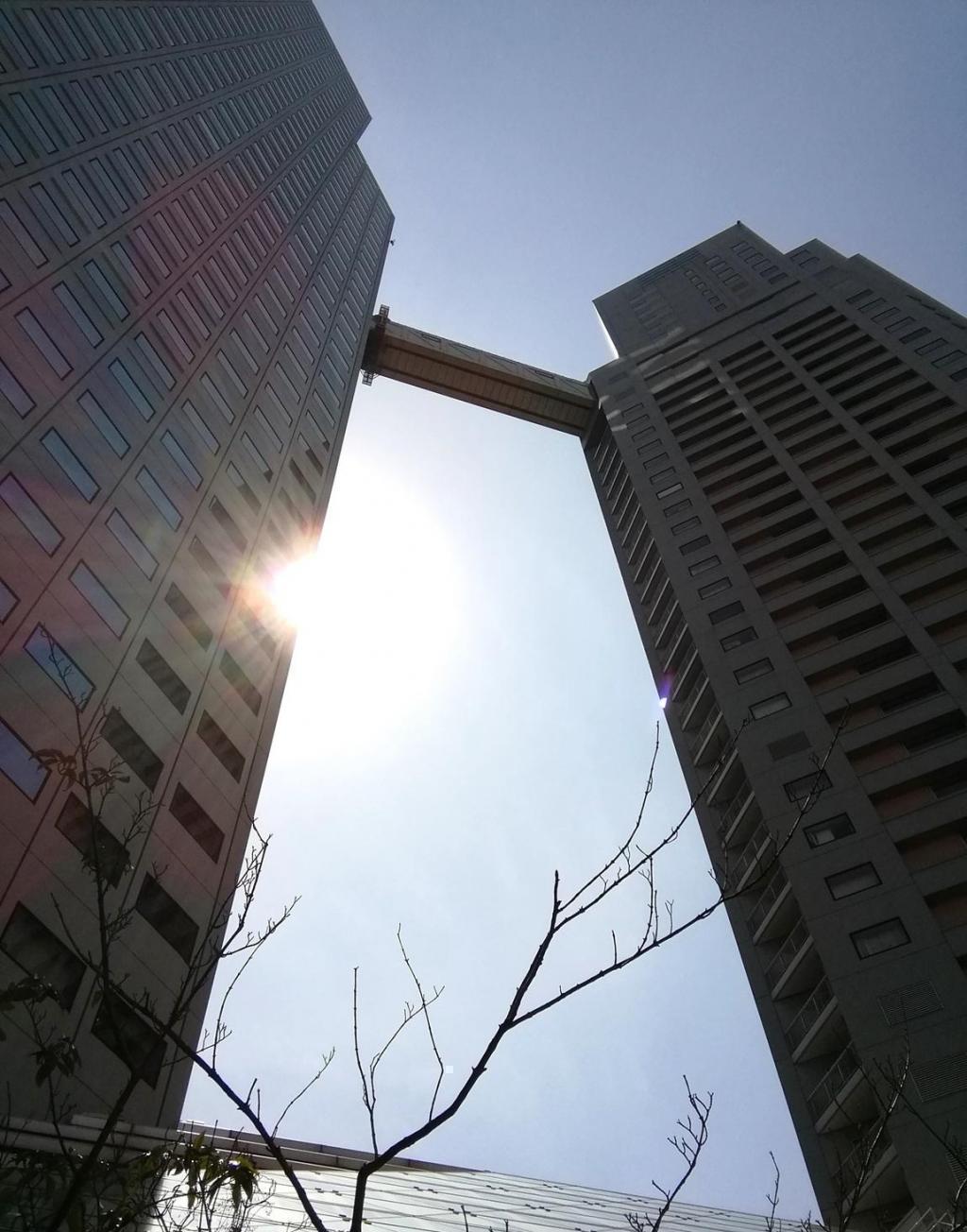  Looking up at high-rise building
　ー　高層ビルを見上げる　ー　①
　　～　聖路加セントルークスタワー・聖路加レジデンス　～