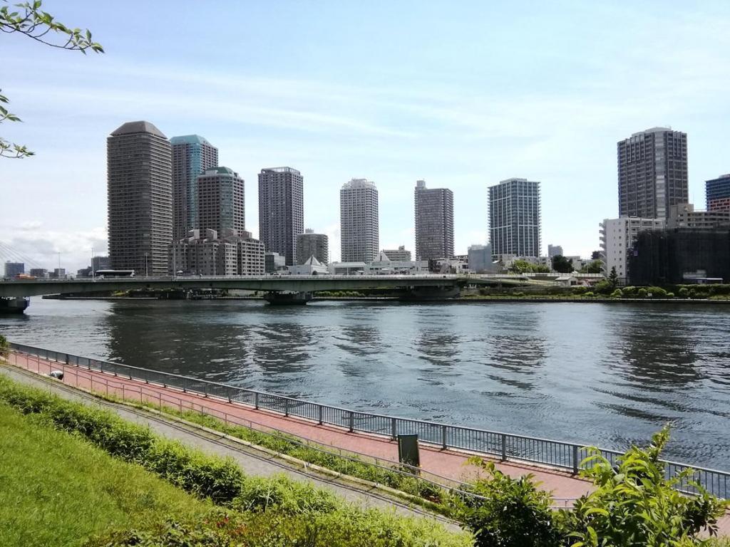  Looking up at high-rise building
　ー　高層ビルを見上げる　ー　①
　　～　聖路加セントルークスタワー・聖路加レジデンス　～