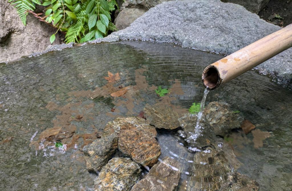  仙境に咲く花