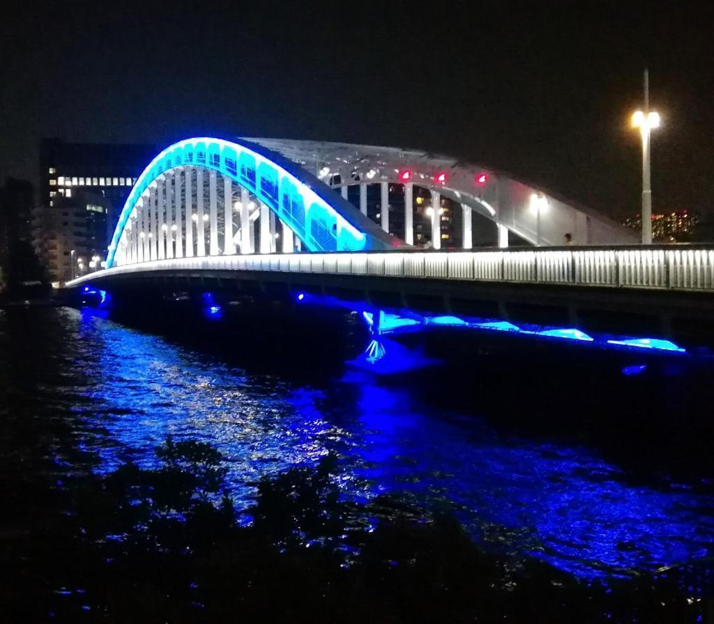 国指定重要文化財　永代橋 映画「祈りの幕が下りる時」
　キーとなる１２の橋、ご紹介します　⑫終
　　ー　１２月　豊海橋　ー