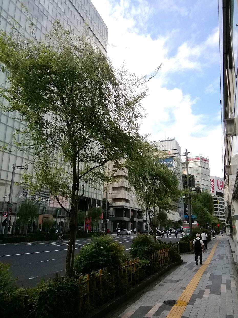 西銀座通りの柳 鳩・柳・若い時計台
　　～　数寄屋橋公園　～