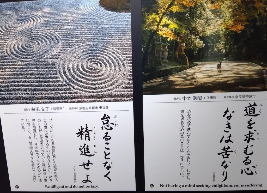 人生は長い　人生訓が写真で　説教してくれます （１０月末までの掲載で）築地本願寺　フォトコンテスト　11/7 まで開催中