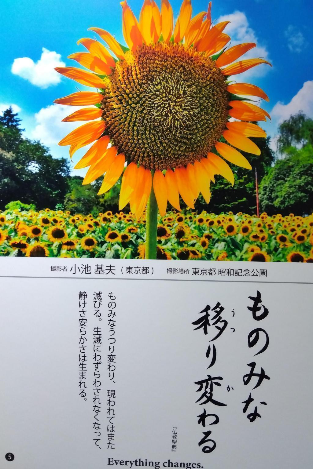 苦しい後には、きっと明るい太陽と未来が訪れます （１０月末までの掲載で）築地本願寺　フォトコンテスト　11/7 まで開催中