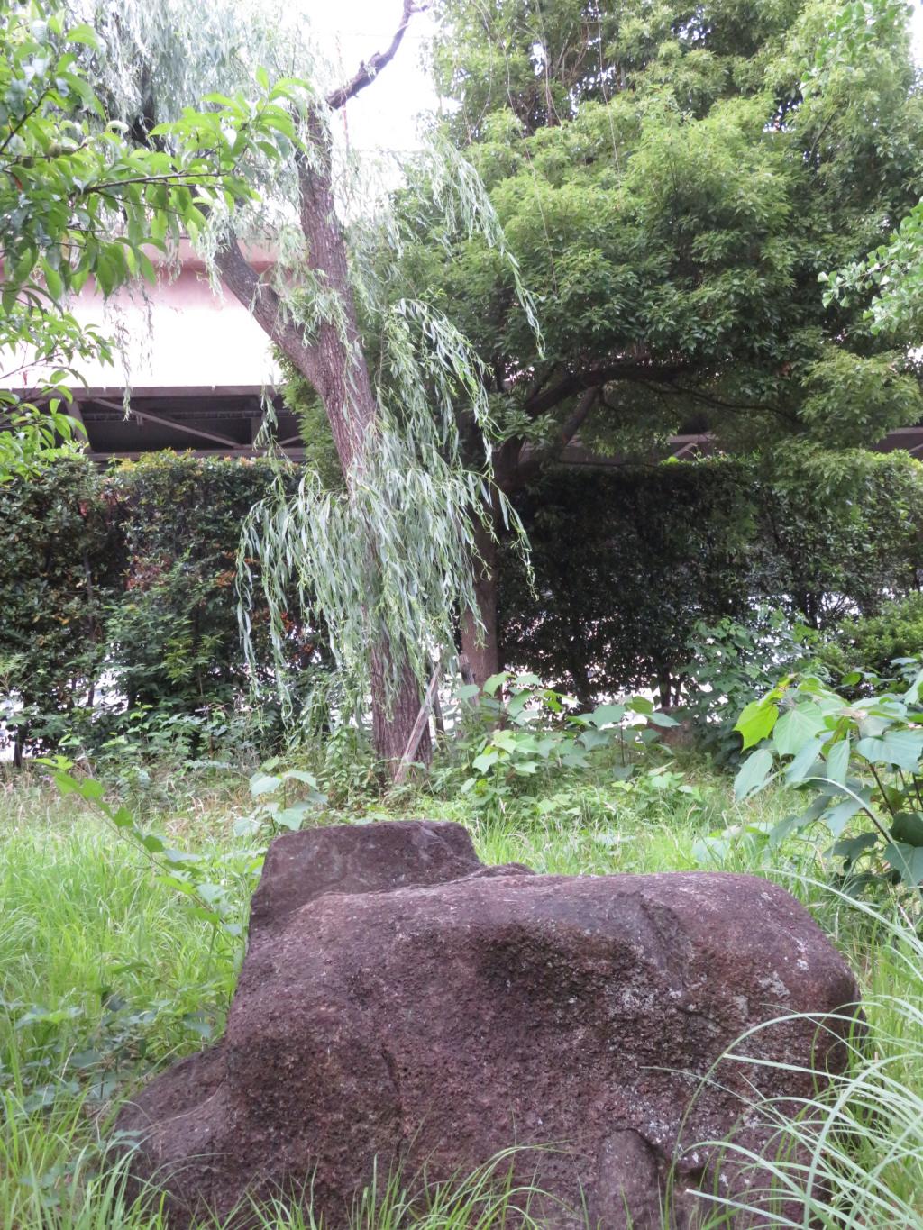 浜町公園の一角に…岩石と柳に樹々…何でしょうか？ 隅田川テラス　両国橋～浜町公園