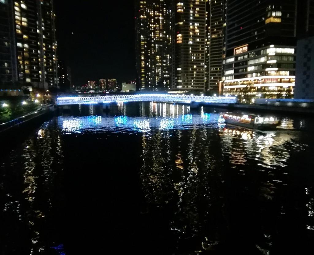 トリトンブリッジ 晴海大橋・豊洲大橋
　そしてトリトンブリッジ
　　～　橋の景色　①　～