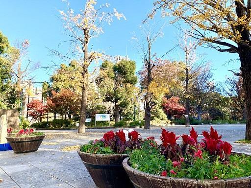  晩秋から冬への浜町公園