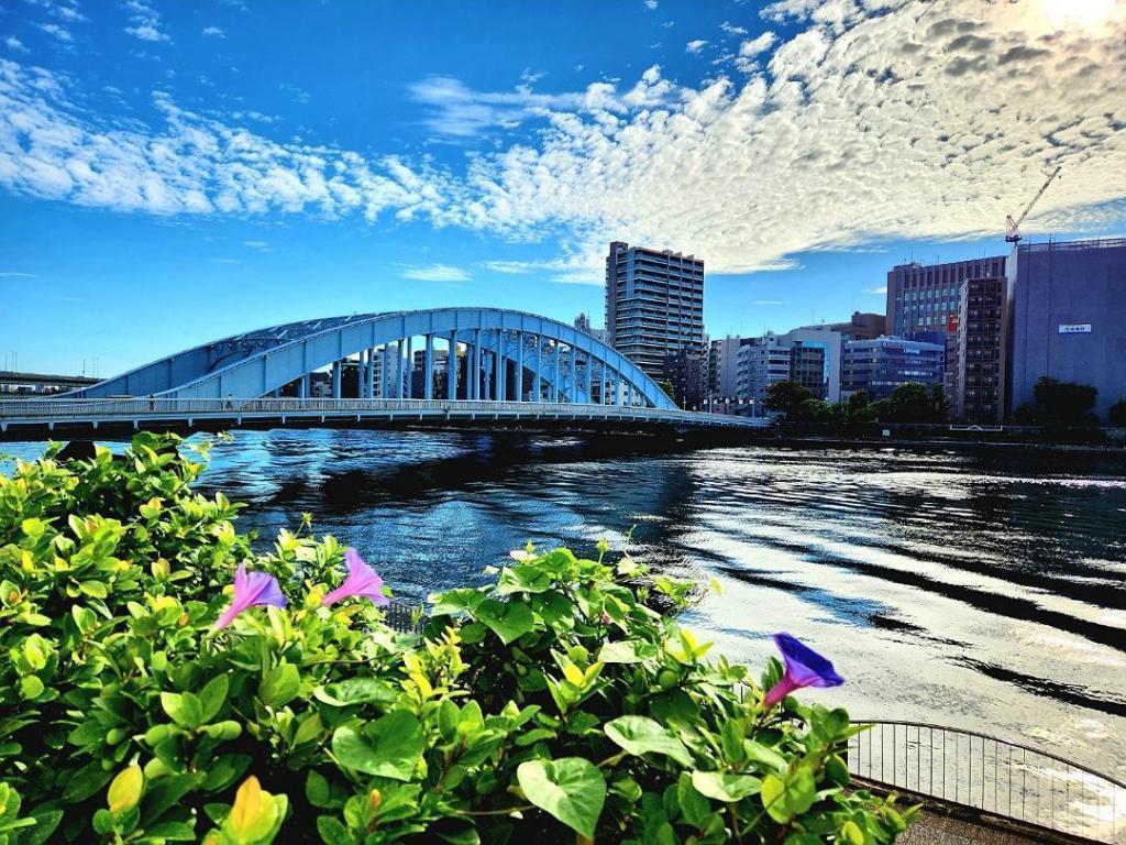  新川に架かる９つの橋 （シリーズ５回目（最終回）：永代橋）