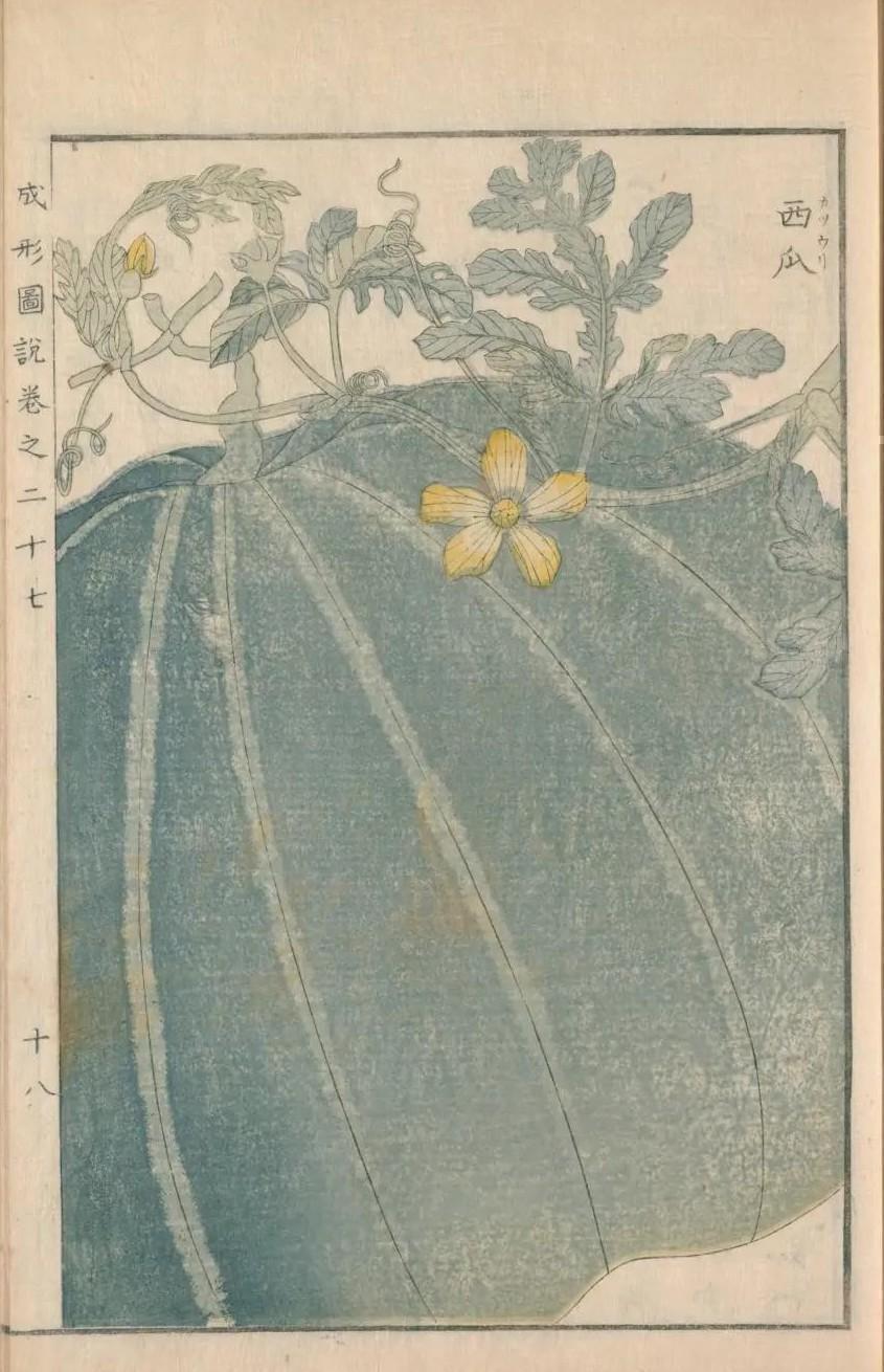 江戸時代の西瓜 江戸の水菓子