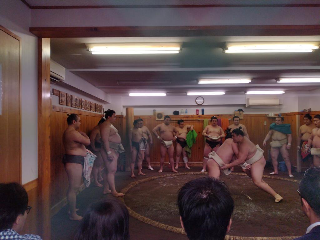  Watching Morning Practice at Arashio Stable