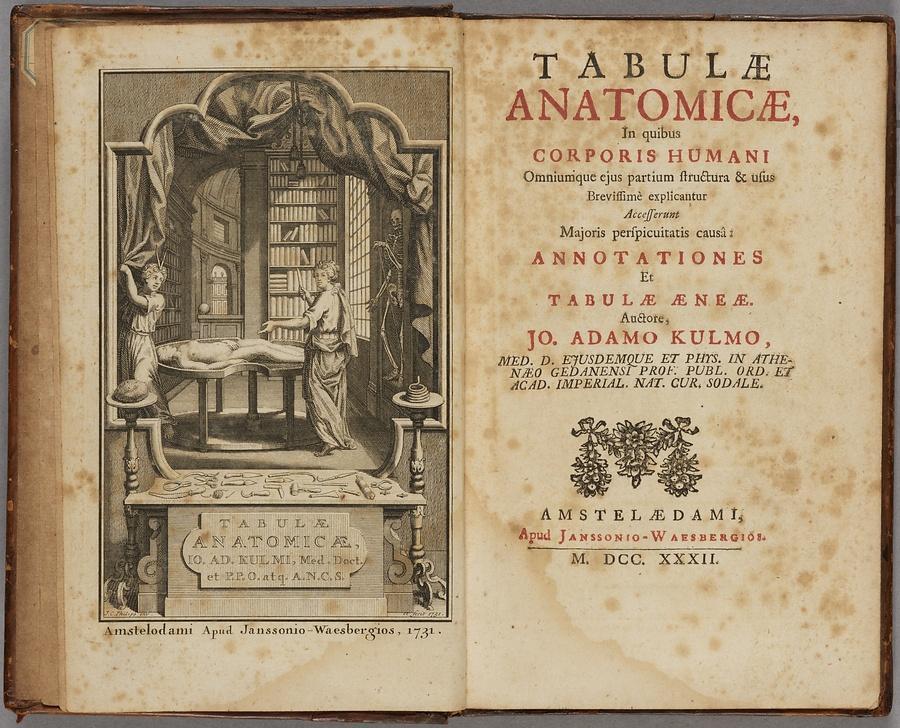  「中央区とのご縁：べらぼう〜蔦重栄華乃夢噺〜㉖」
～日本橋浜町、蘭学事始地碑（明石町）：杉田玄白～