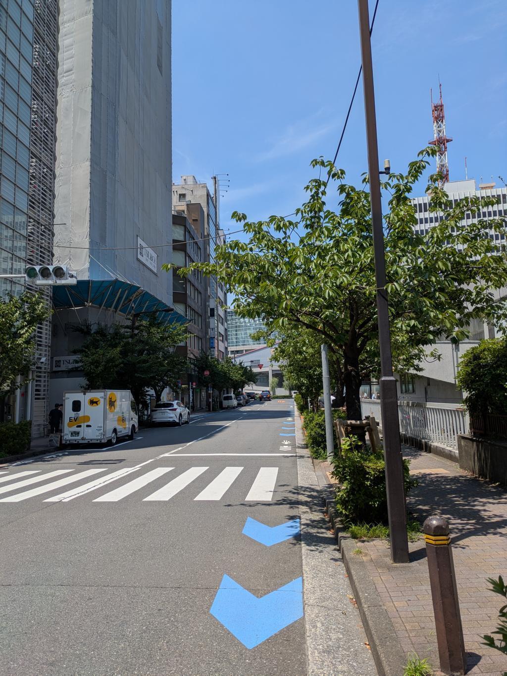 銀座にも桜並木がありました。（銀座桜通り） 銀座の街路樹。こんなに種類あるんですね。