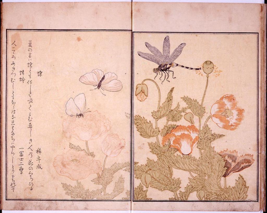 宿屋飯盛（石川雅望） 「中央区とのご縁：べらぼう〜蔦重栄華乃夢噺〜⑬」
～小伝馬町・大伝馬町：宿屋飯盛（石川雅望）（演：「ピース」又吉直樹）～