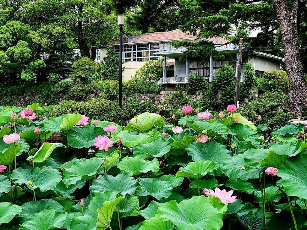  小田原ゆかり探しの旅（後編）