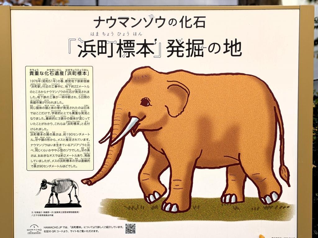  秋らしさを満喫