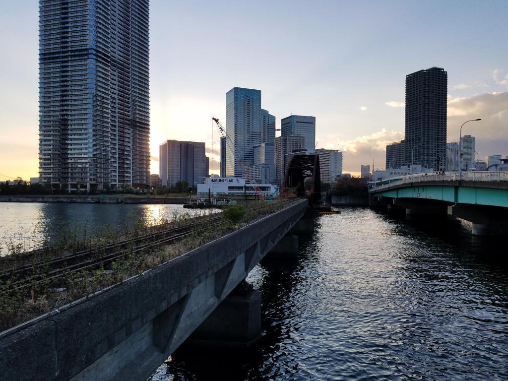  次代への懸け橋